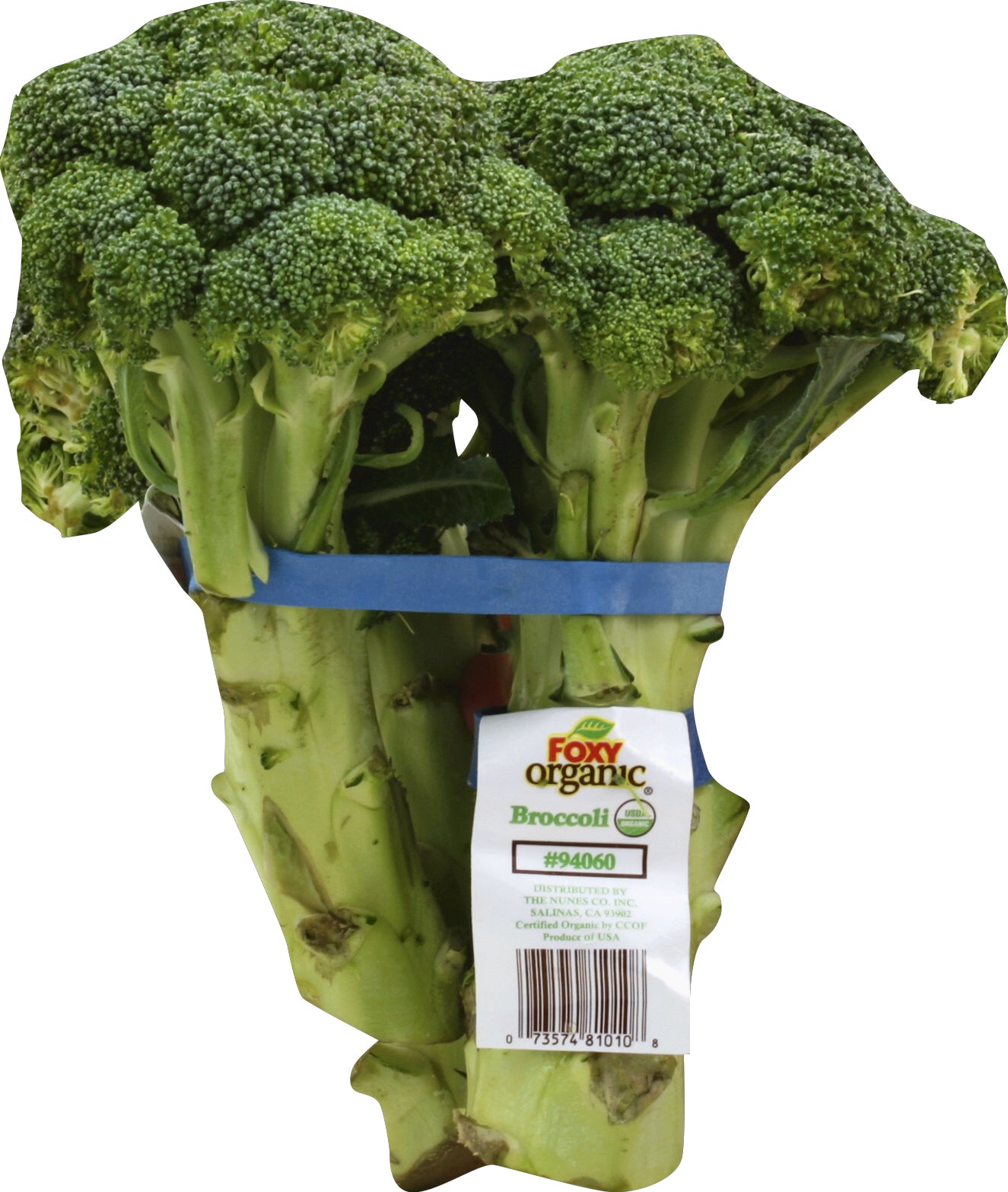 Brócoli (Brócoli)
