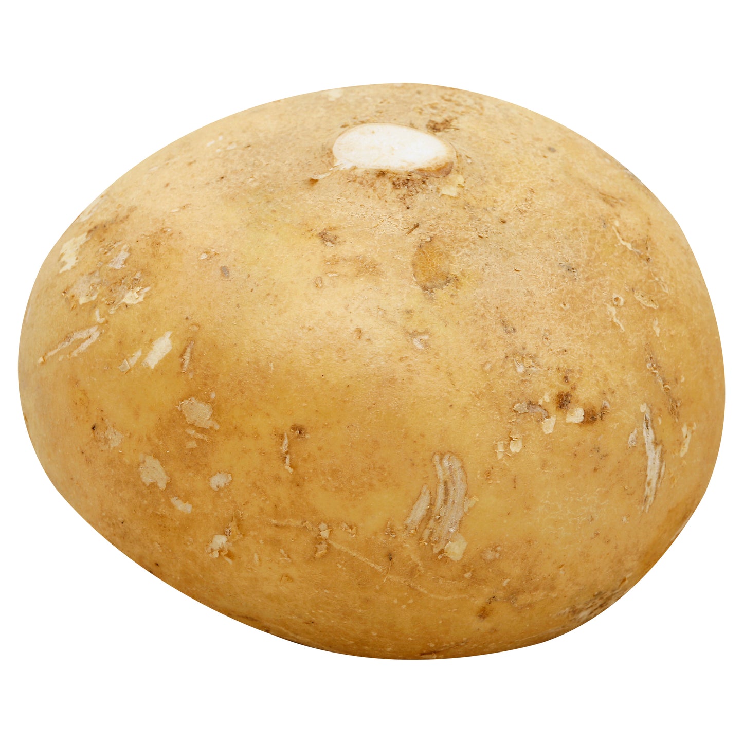 Jícama