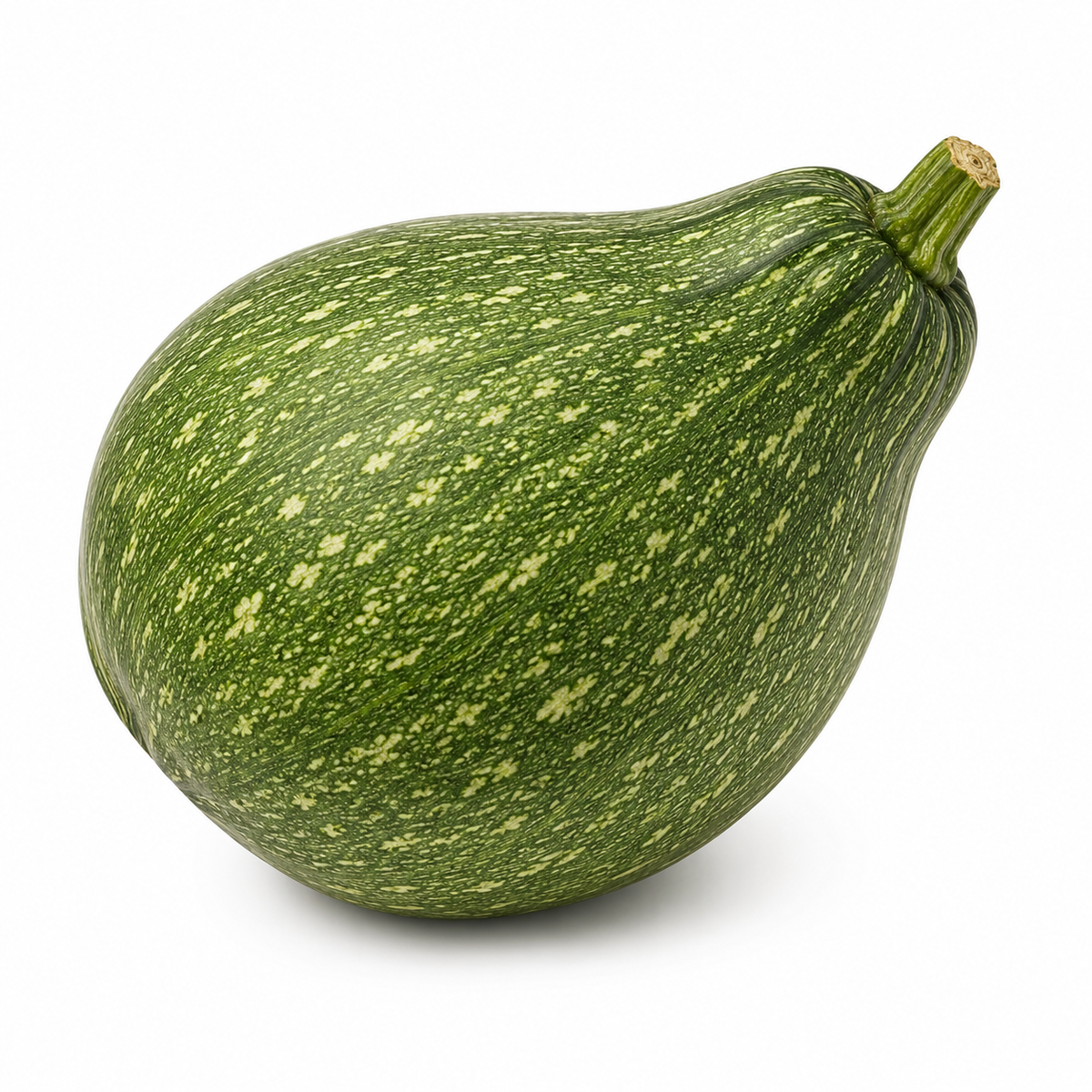 Baby Chilacayote Squash (Chilacayote Baby)