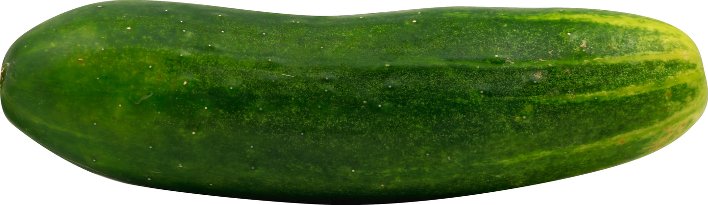 Pepino