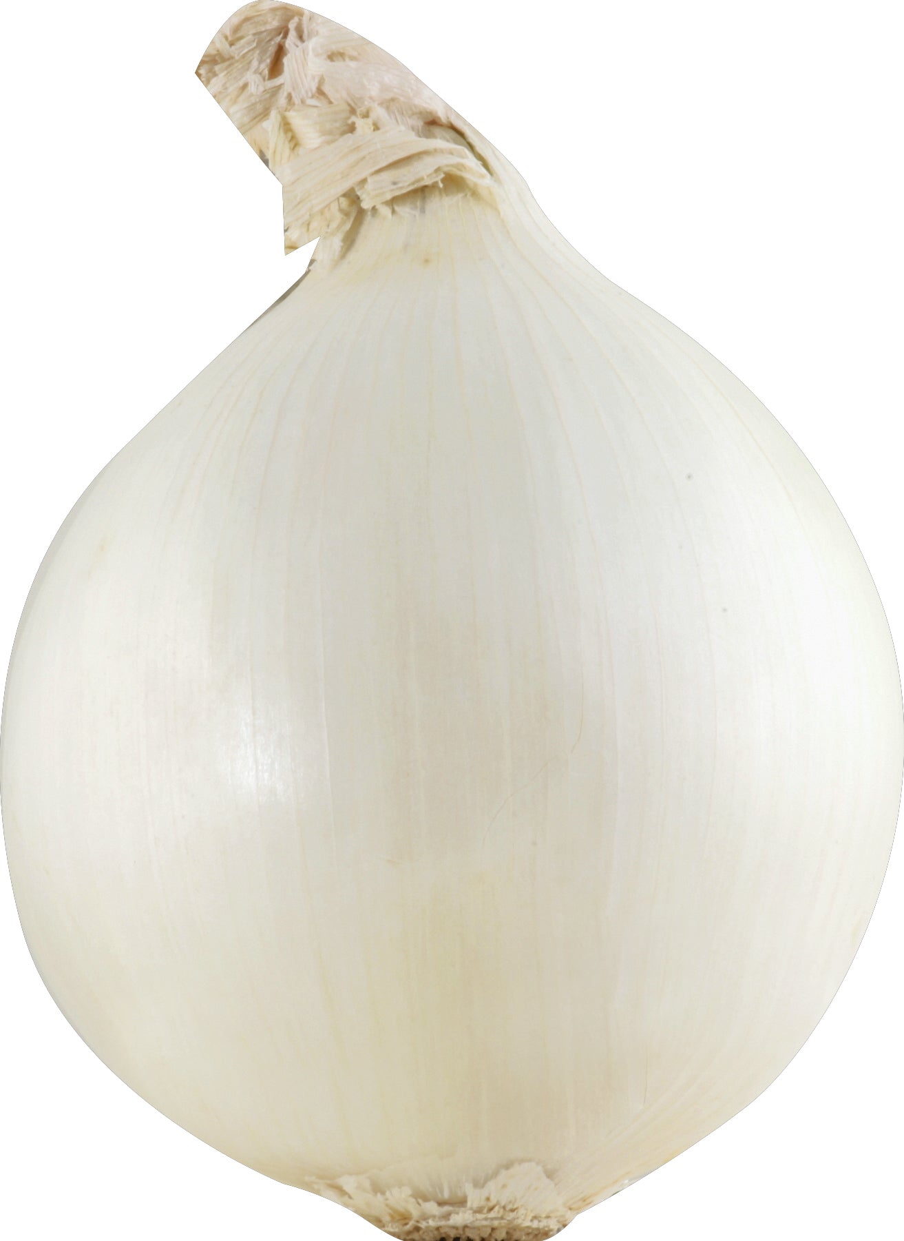 Cebolla blanca