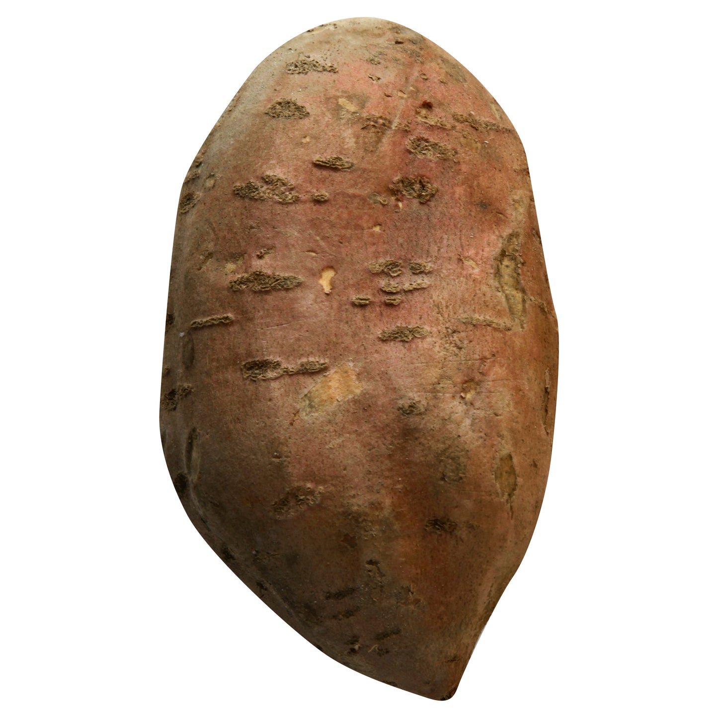 Batata dulce (camote)