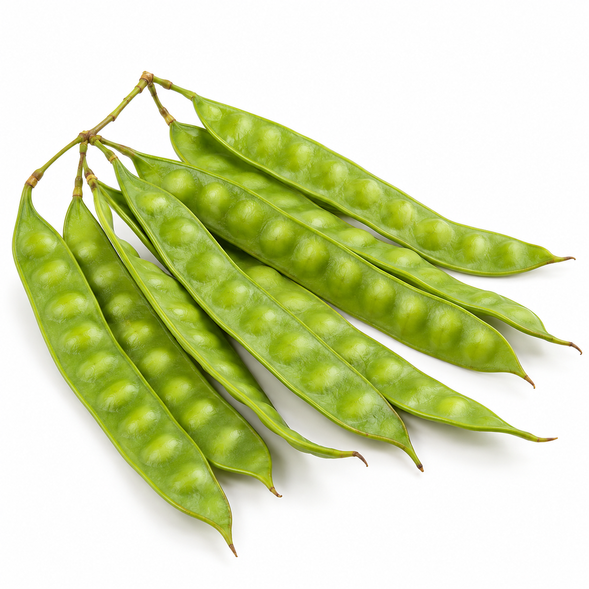 Green Guaje Pods (Guaje Verde)