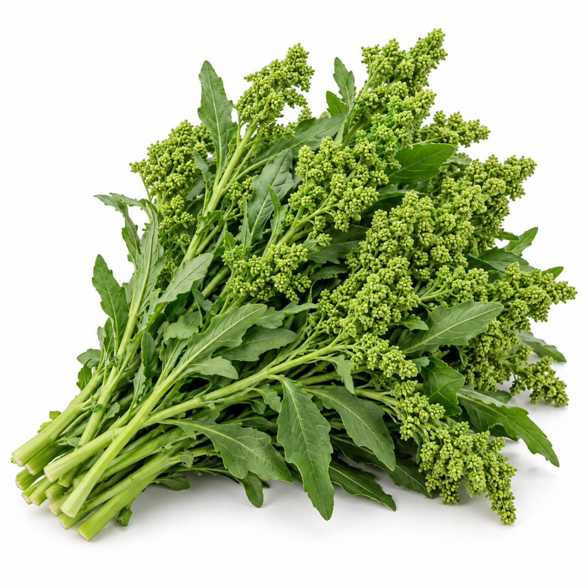 Huauzontle Greens (Huauzontle)