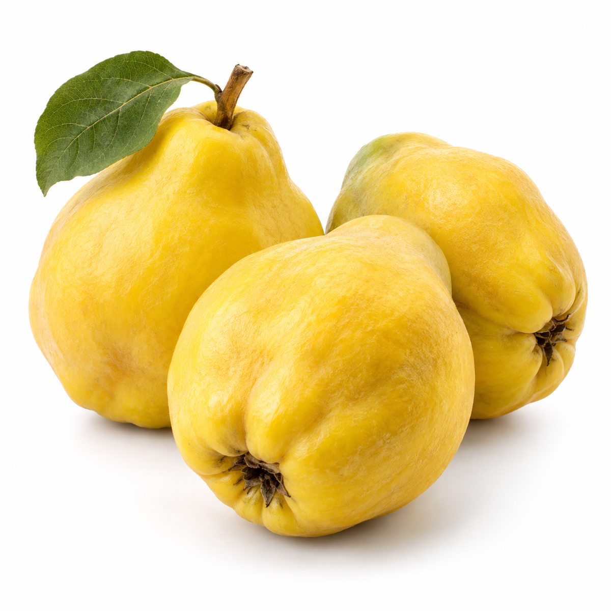 Pineapple Quince (Membrillo de Piña)