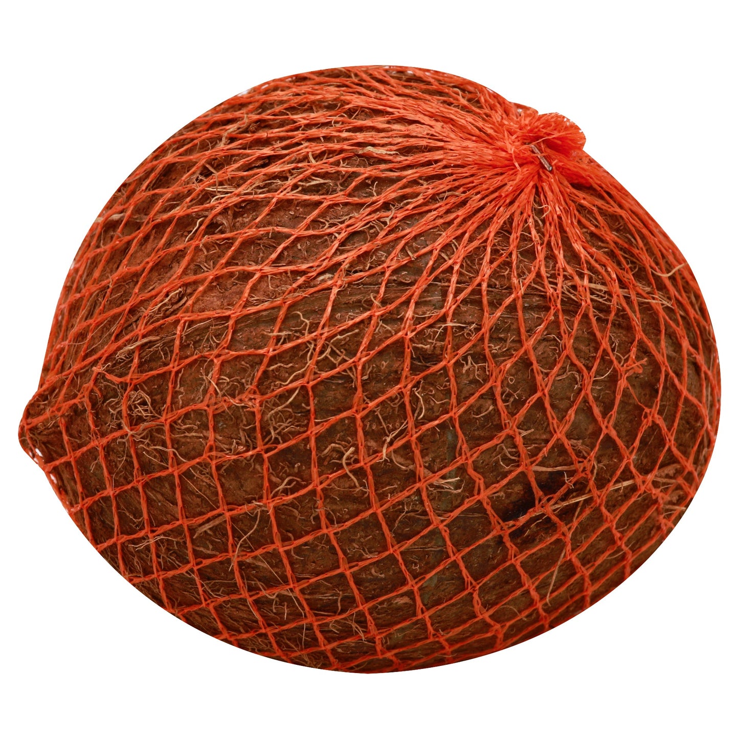Coco blanco