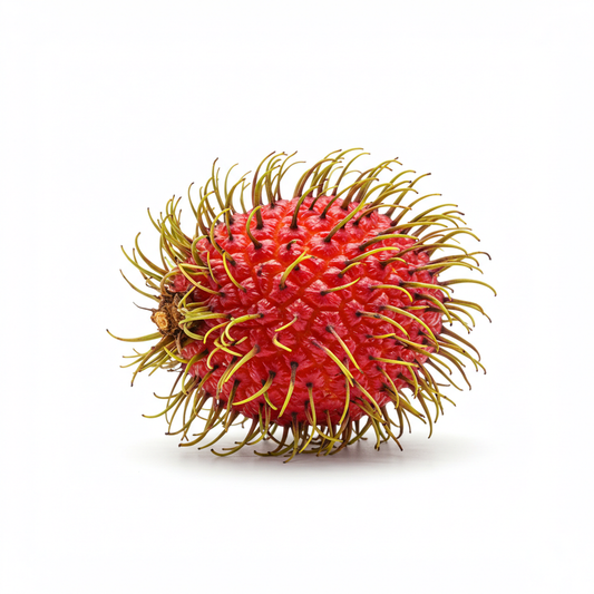 Rambután