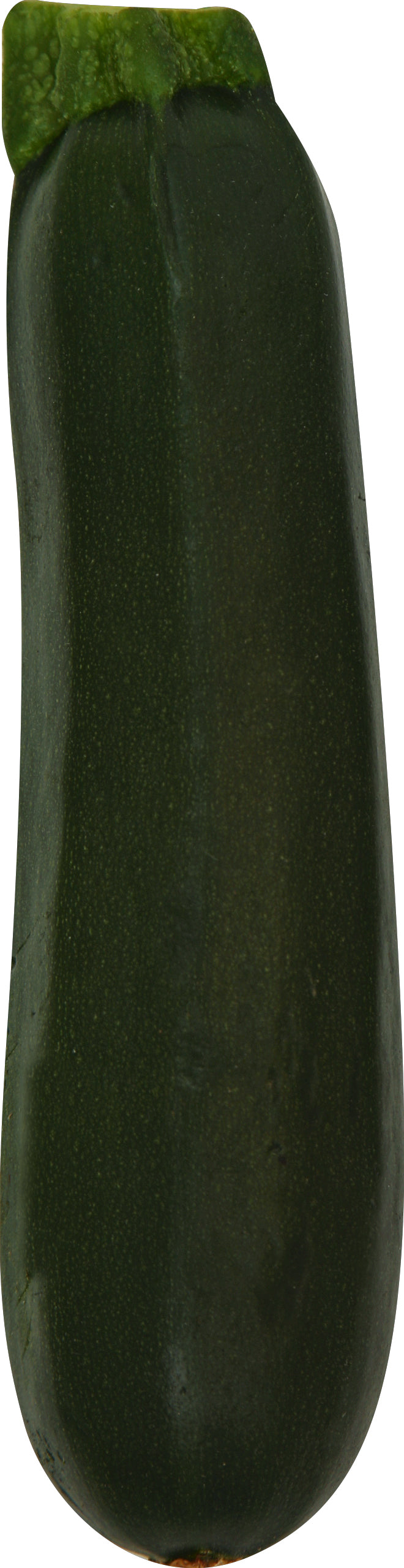 Calabacín