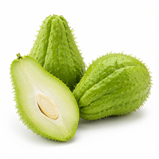 Spiny Chayote (Chayote Con Espinas)