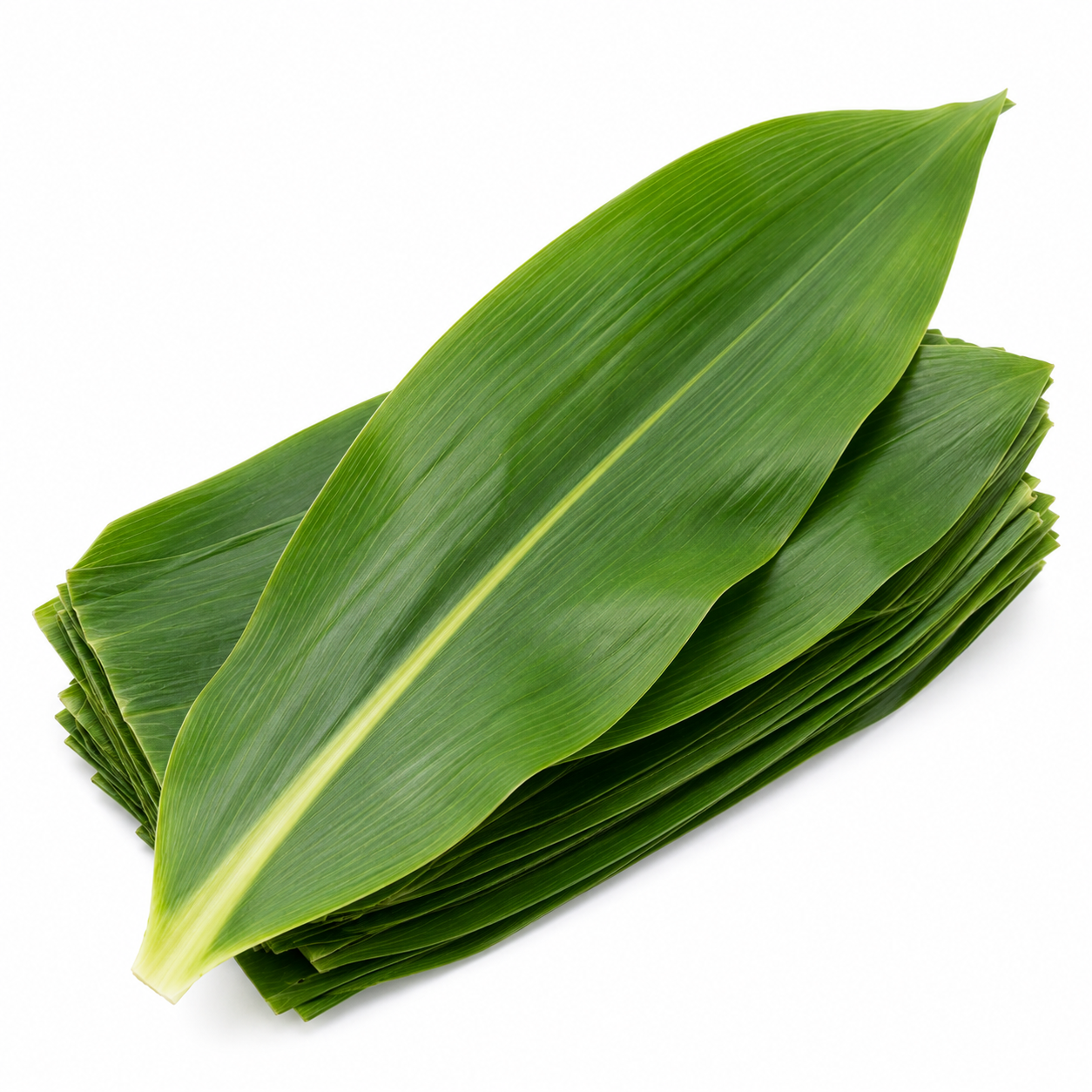 Corn Leaf (Hoja De Milpa)