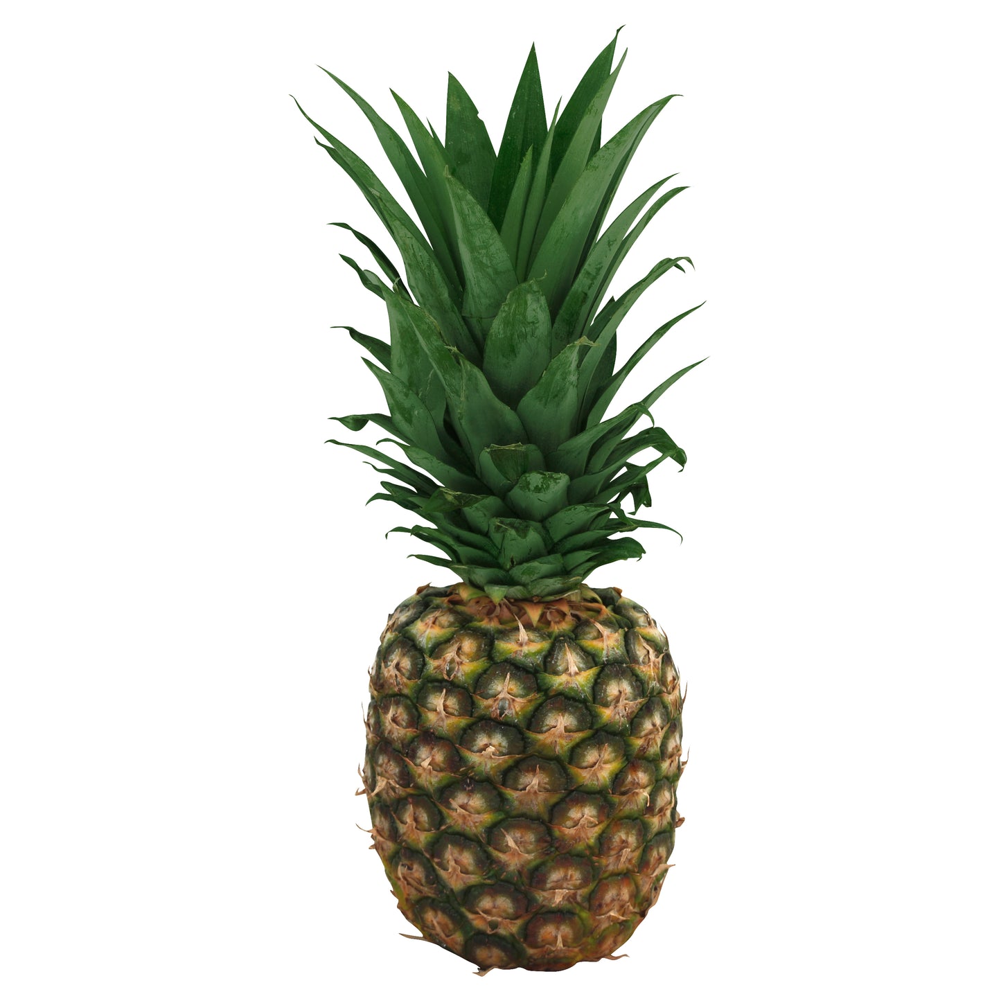 Piña (Pina)
