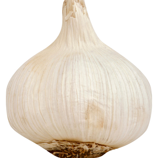 Garlic 5 Pack (Ajo 5 Pk)