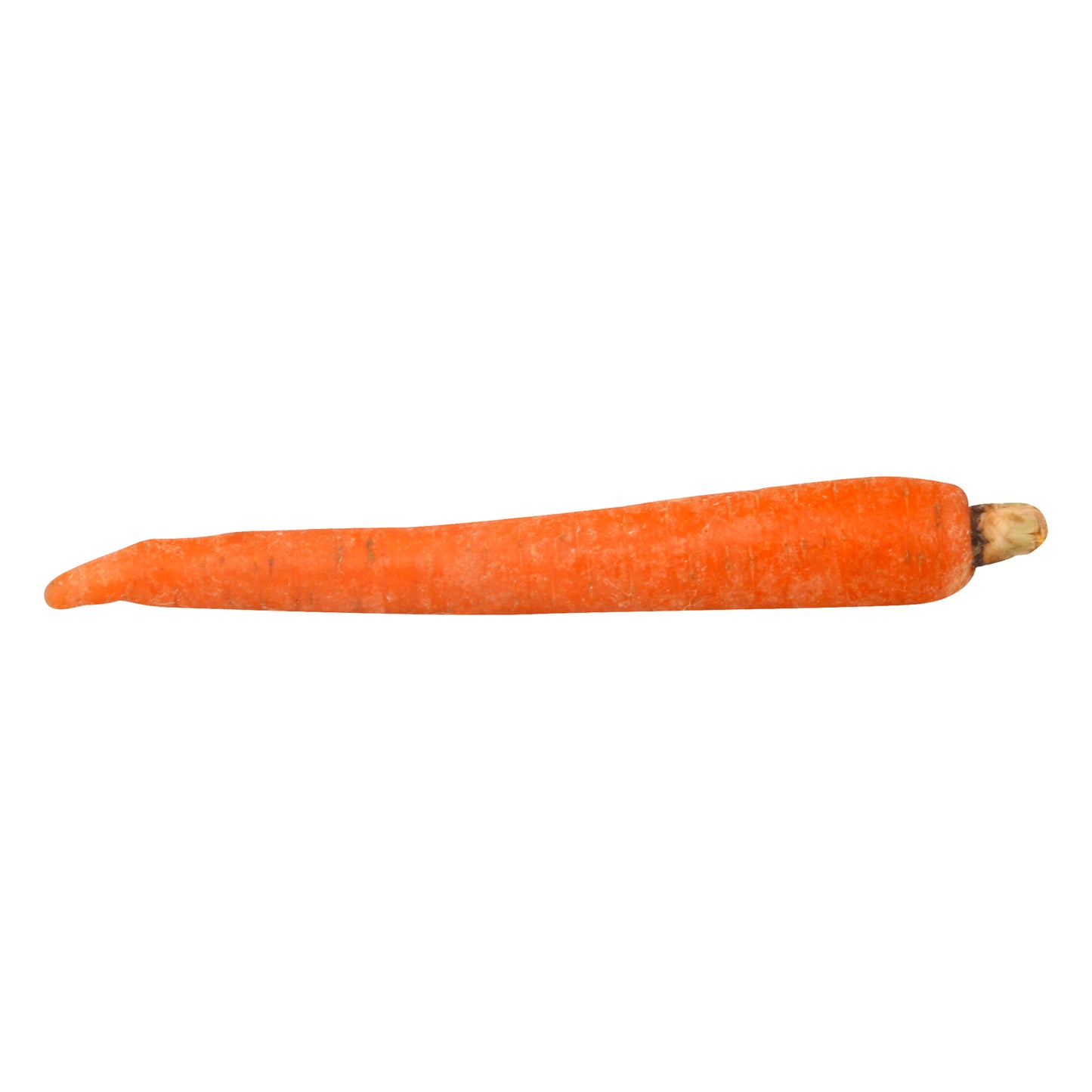 Zanahoria (Zanahoria)