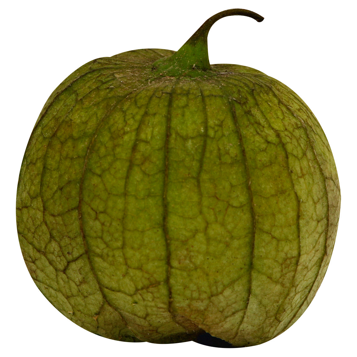 Tomatillo Verde (Tomatillo Verde)