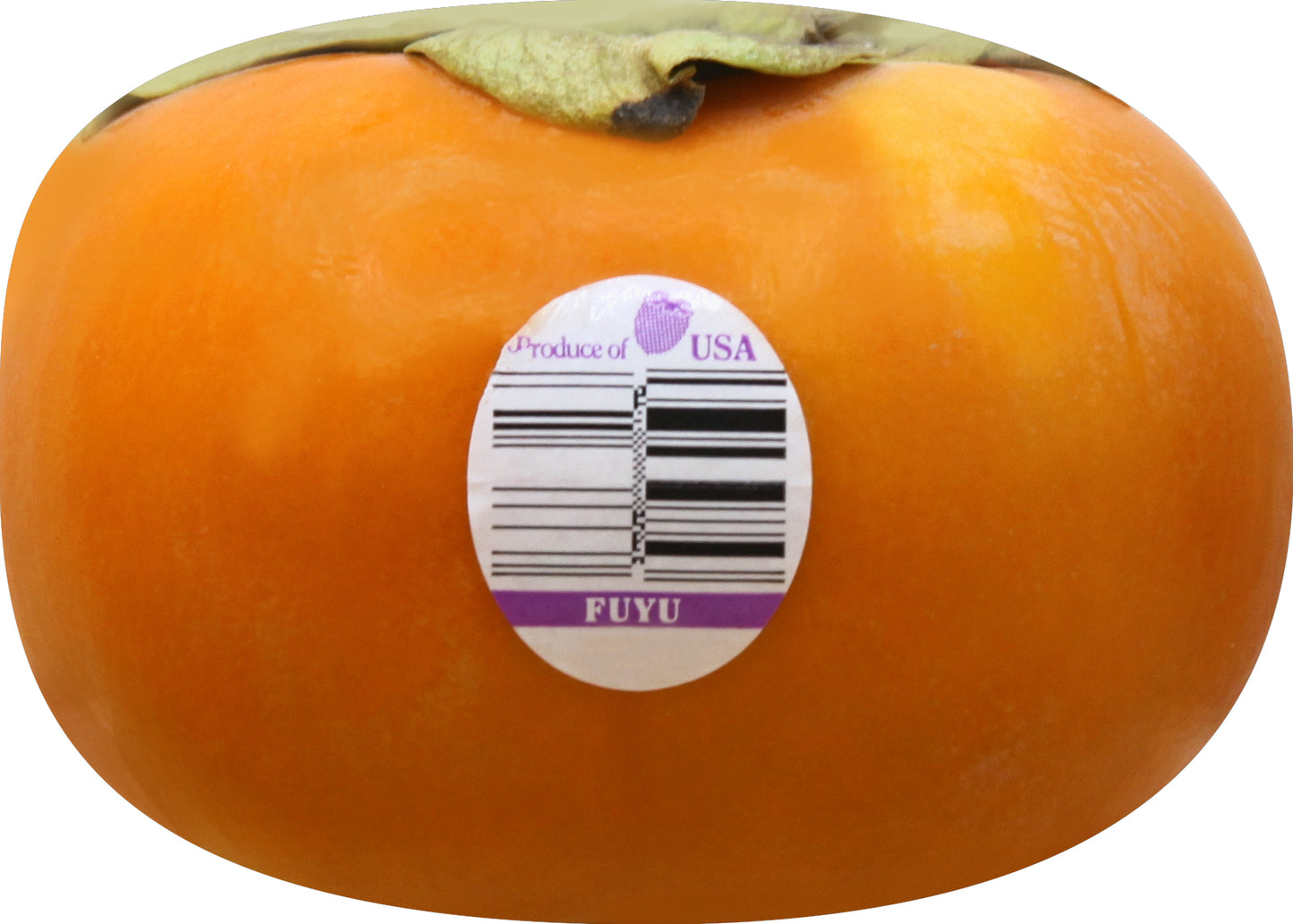 Persimmon (Persimon)