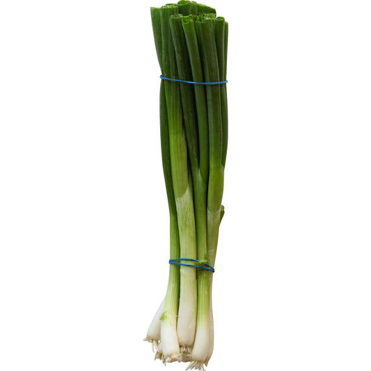 Green Onions (Cebollita C)