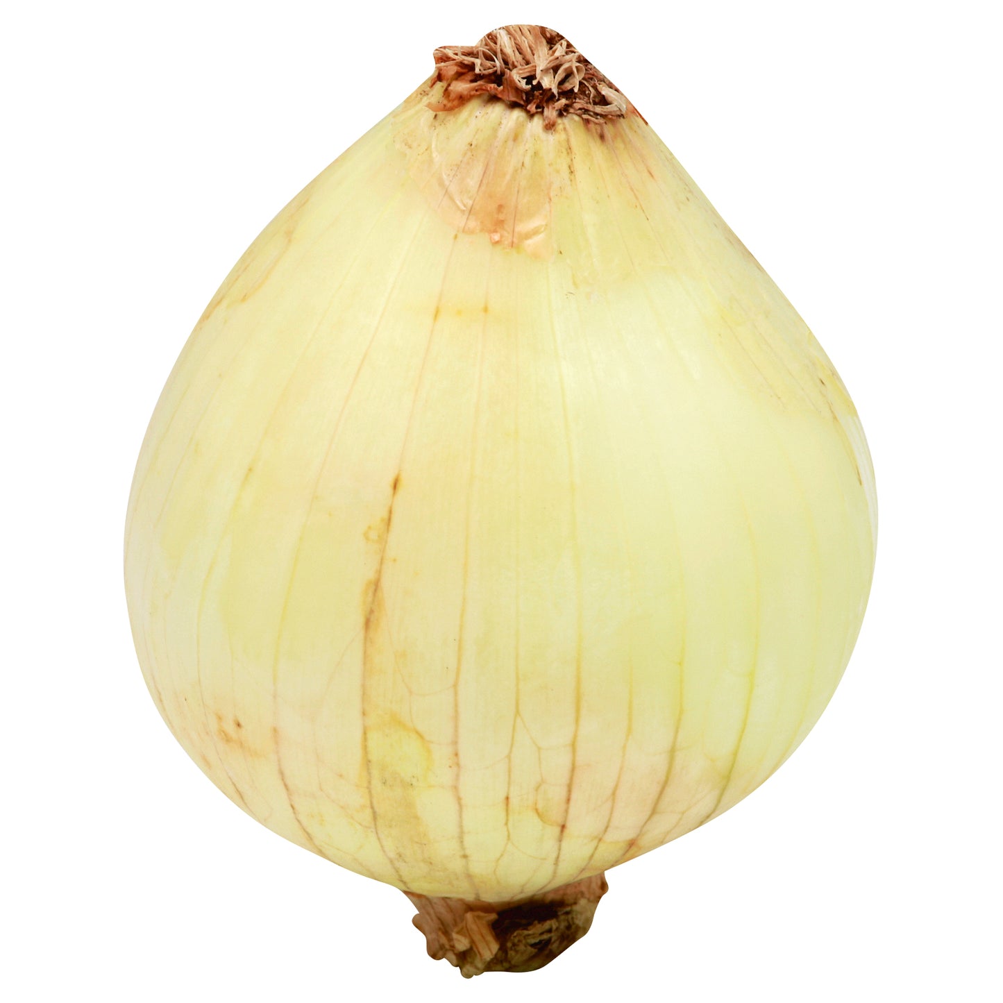 Cebolla amarilla/marrón - pequeña (Cebolla amarilla)