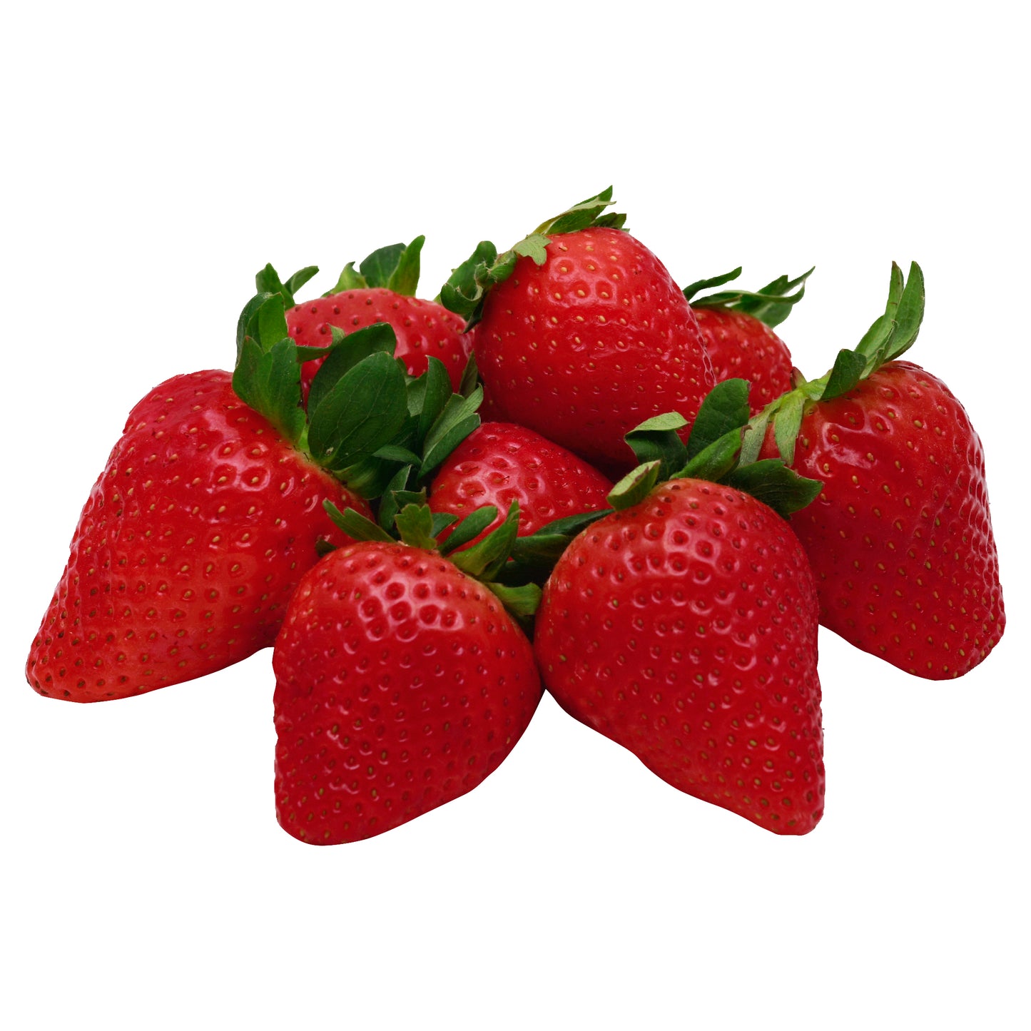 Fresas GPC de 16 onzas