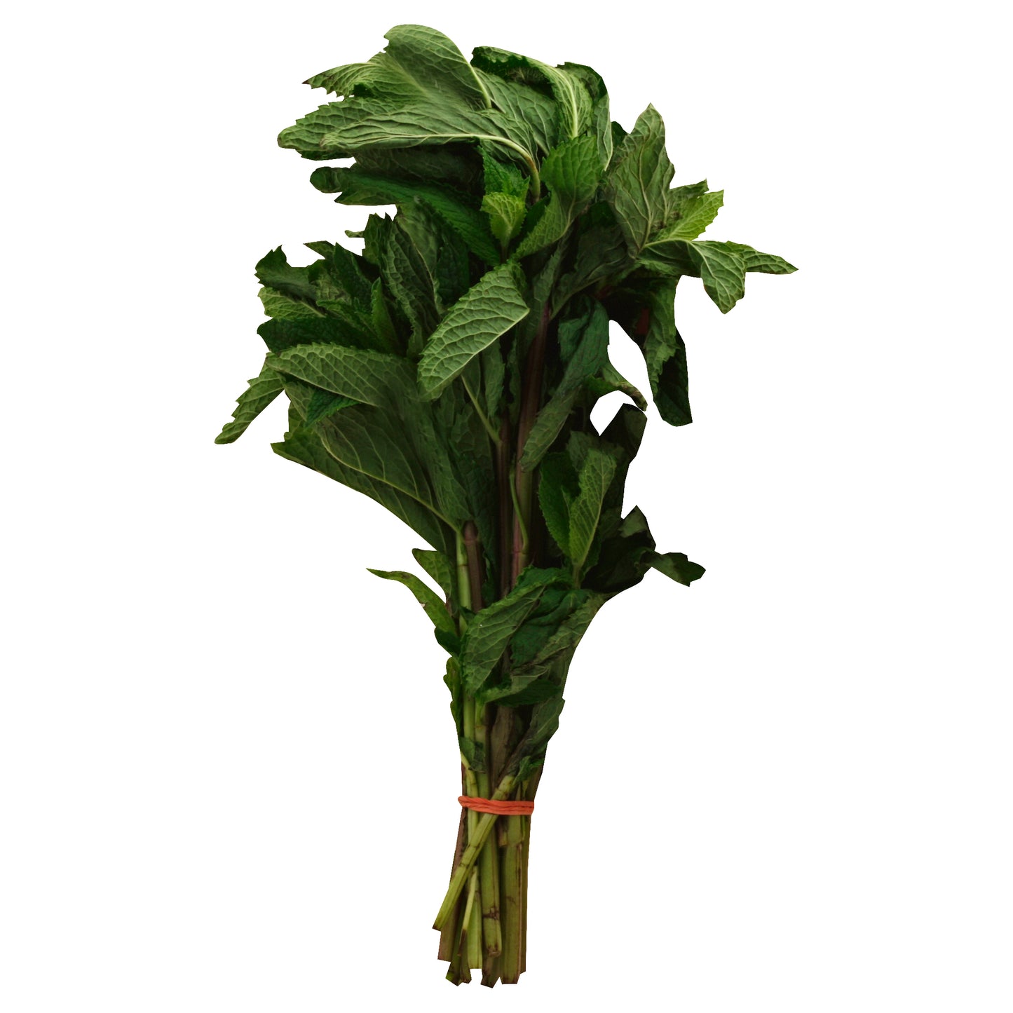 Mint (Hierbabuena)