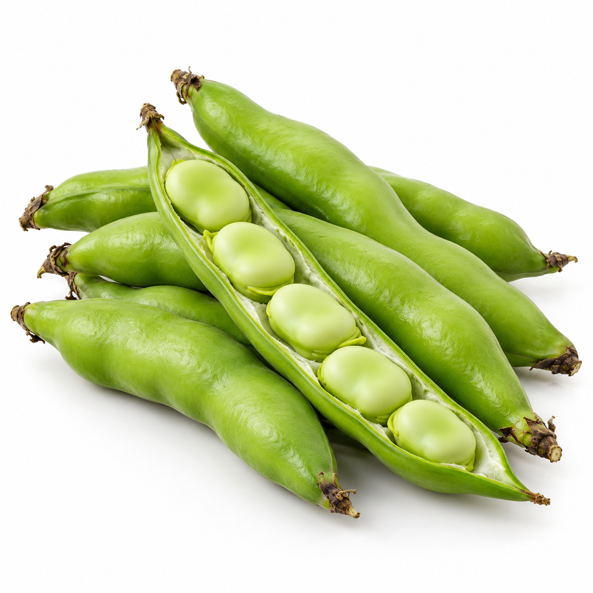 Fresh Fava Beans (Haba Verde)